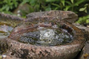 peu Fontaine avec l'eau photo