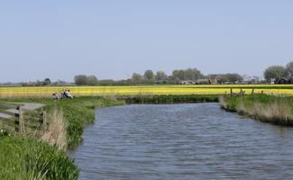 néerlandais paysage, Pays-Bas dans le printemps photo