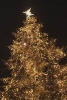 Noël arbre dans Venise photo
