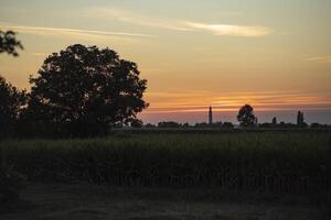 Orange le coucher du soleil paysage pays champ photo