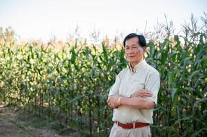 une réussi Sénior asiatique agriculteur des stands fièrement avec le sien bras franchi dans le sien blé champ. photo