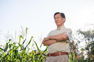 Sénior réussi et expérimenté asiatique ferme propriétaire des stands avec le sien bras franchi dans le sien blé champ. photo