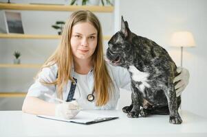 vétérinaire femme examine le chien et animal de compagnie son. animal soins de santé hôpital avec professionnel animal de compagnie Aidez-moi photo