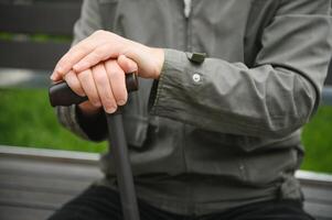 portrait de Sénior homme en portant en marchant bâton tandis que repos dans parc. photo