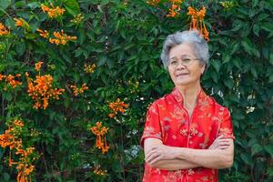 de bonne humeur asiatique Sénior femme portant une traditionnel cheongsam qipao robe, bras franchi, souriant, et à la recherche à le caméra tandis que permanent dans une jardin. concept de vieilli gens et chinois Nouveau année photo