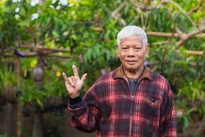 portrait de un personnes âgées homme montrant les doigts symbole l'amour tandis que permanent dans une jardin. espace pour texte. concept de vieilli gens et soins de santé photo