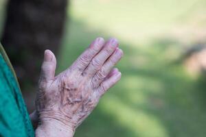 fermer de mains Sénior femme rejoint ensemble pour prier tandis que permanent dans une jardin. concentrer sur mains ridé peau. espace pour texte. concept de vieilli gens et soins de santé photo