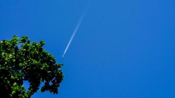 une Avions Piste plus de vert arbre photo