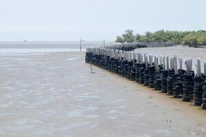 caoutchouc roue mur protéger vague dans mangrove forêt à Thaïlande photo