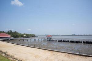 caoutchouc roue mur protéger vague dans mangrove forêt à Thaïlande photo