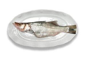 pas à pas guider à peixe non sel, une rustique et côtier plat de brésilien cuisine photo