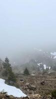 printemps montagnes dans le brouillard photo