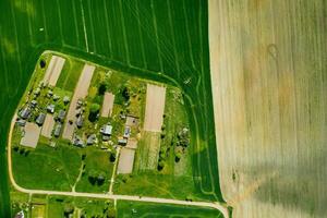 Haut vue de une semé vert champ et une petit village dans biélorussie. agricole des champs dans le village.printemps semis dans une petit village photo