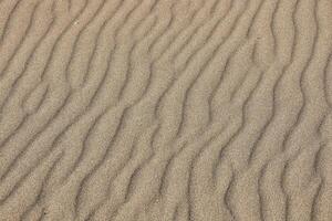 texture de le sable nivelé par le vent 9 photo