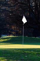 vide le golf vert avec pôle et drapeau herbe et des arbres photo