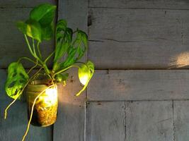 magnifique combinaison de une maison les plantes avec pendaison verre pot sur une traditionnel violet en bois mur avec d'or Jaune lumière Soleil monter photo