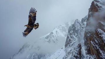 majestueux coup de un Aigle planant haute au dessus une Stupéfiant neigeux Montagne paysage symbolisant liberté force et le beauté de le Naturel monde photo