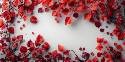 bouquet de rouge érable feuilles contre une blanc mur photo