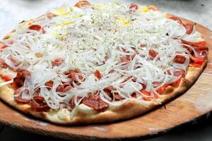 calabrais saucisse Pizza avec fromage et oignons photo