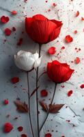 rouge coquelicots et pétales sur gris Contexte photo