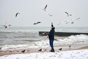 Vieil homme nourrissant les oiseaux en mer en hiver photo