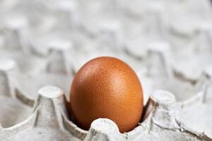 œuf de poule dans un plateau à œufs en papier, espace de copie. photo