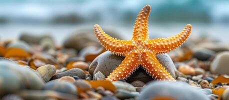 vibrant Orange étoile de mer sur galets plage, mise en évidence Marin la vie Naturel beauté, idéal pour environnement et éducatif contenu. sous-marin les écosystèmes, l'écotourisme, été vacances concept photo