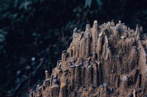 piles de le sable exposé à eau de pluie Regardez comme miniature falaises et montagnes photo