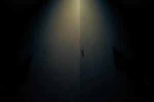 lézards sur le mur illuminé par lampe lumière à nuit photo