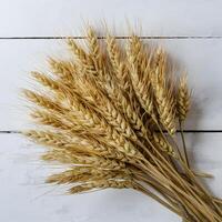 Haut vue de blé sur blanc tableau, symbolisant récolte abondance pour social médias Publier Taille photo