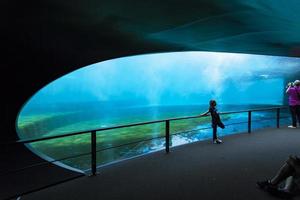 Gênes, Italie, 2 juin 2015 - personnes non identifiées à l'aquarium de Gênes. l'aquarium de génois est le plus grand aquarium d'italie et parmi les plus grands d'europe. photo