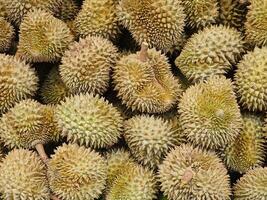 Contexte. durian est une fruit dans Thaïlande cette thaïlandais et étrangers comme. photo