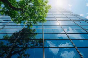 réflexion de vert arbre sur grattes ciels verre façade photo