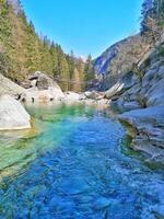 marcher dans la nature photo