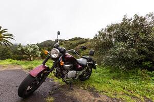 motocyclettes, plage, avec paume des arbres photo