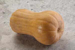 brut mûr biologique butternut citrouille photo