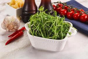 micro vert les plantes pour cuisine photo