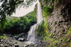 Cascade cascade dans le tropical jungle de maurice photo