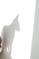 ombre une chauve chat de le canadien sphynx photo