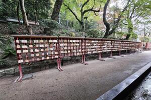 fukuoka, Japon novembre 18 ans, 2023 Japonais en bois souhaitant planches ema à à dazaïfu tenmangu tombeau où est célèbre point de repère de fukuoka. photo