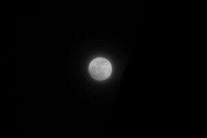 le plein lune dans le noir ciel photo