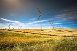 moulins à vent pour la production d'énergie électrique photo