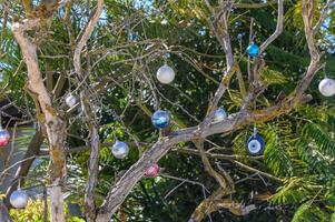 arbre dans le centre de le village décoré pour le Nouveau année dans Chypre 1 photo