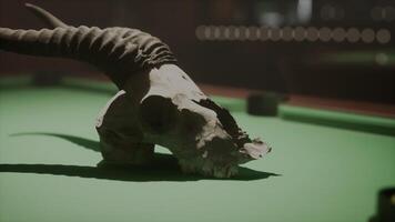 une faux animal crâne sur une bassin table photo
