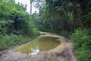 Cotubanama nationale parc dans dominicain république 33 photo