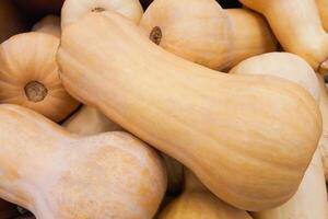 une pile de citrouilles butternut dans supermarché comme Contexte photo