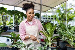 africain femme jardinier est tendre sa exotique plante plante à l'intérieur le serre pour forêt tropicale soumissionner petit pot pour ornemental jardinage et jardinage dans été photo