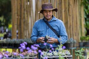 asiatique jardinier est travail à l'intérieur le propagation étagère table à garderie jardin centre pour succulent originaire de et exotique plante producteur photo