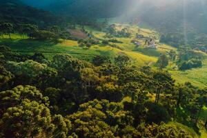 aérien vue de rural zone avec montagnes et blé champ dans le municipalité de urubici, Père Noël Catarine, Brésil photo