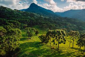 aérien vue de une rural zone avec montagnes, araucaria des arbres et doux lumière du soleil dans Père Noël Catarine, Brésil photo